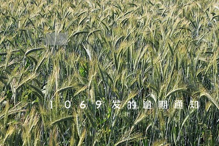 1069发的逾期通知