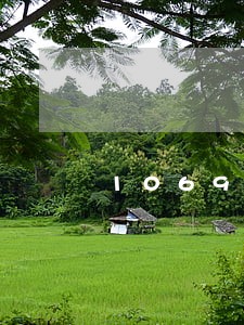 1069开头短信说信用卡逾期 1069开头短信说信用卡逾期