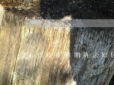 1069逾期执法短信 1069逾期执法短信