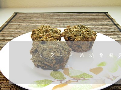 10万一年逾期费用是多少钱 10万一年逾期费用是多少钱