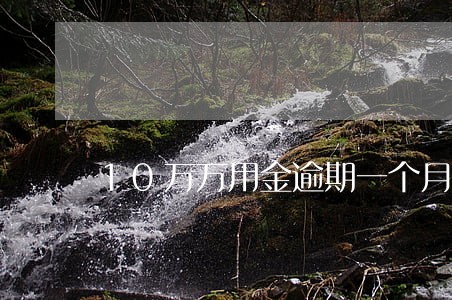 10万万用金逾期一个月 10万万用金逾期一个月