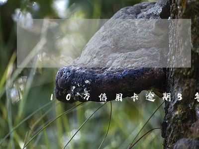 10万信用卡逾期3年怎么办浦发 10万信用卡逾期3年怎么办浦发