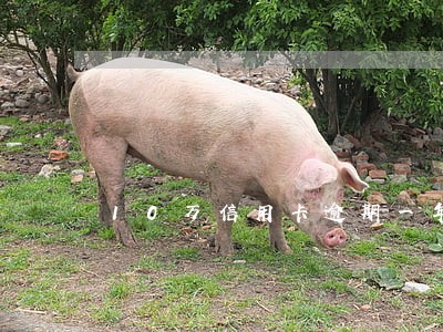 10万信用卡逾期一年要还多少