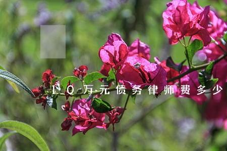 10万元债务律师费多少 10万元债务律师费多少