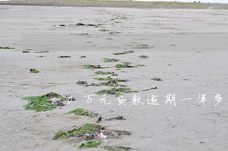 10万元贷款逾期一年多少钱 10万元贷款逾期一年多少钱