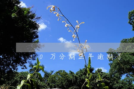 10万分期三年逾期了 10万分期三年逾期了