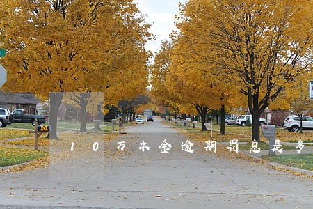 10万本金逾期罚息是多少 10万本金逾期罚息是多少