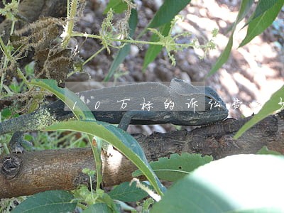 10万标的诉讼费多少钱呢 10万标的诉讼费多少钱呢