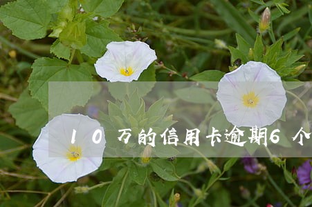 10万的信用卡逾期6个月 10万的信用卡逾期6个月