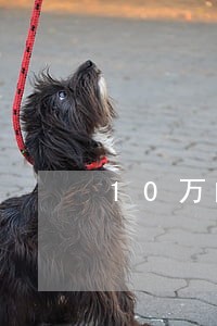 10万的网贷逾期 10万的网贷逾期
