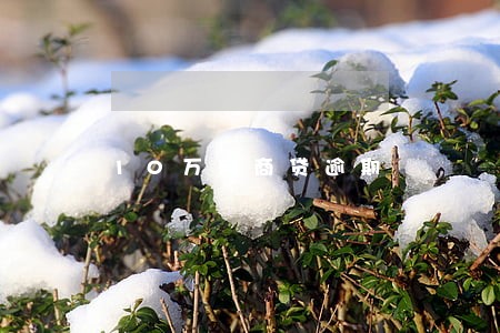 10万网商贷逾期 10万网商贷逾期