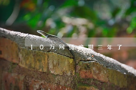 10万网贷逾期三年了 10万网贷逾期三年了
