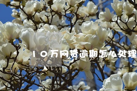 10万网贷逾期怎么处理 10万网贷逾期怎么处理