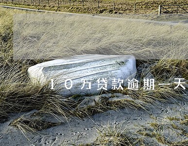 10万贷款逾期一天罚息多少 10万贷款逾期一天罚息多少