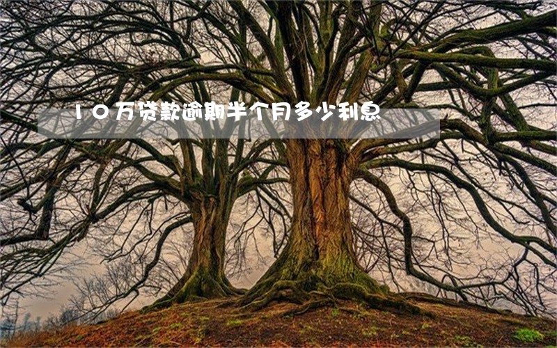 10万贷款逾期半个月多少利息 10万贷款逾期半个月多少利息