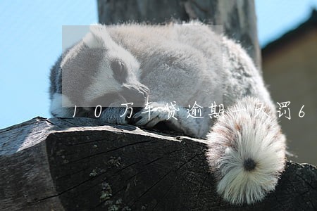 10万车贷逾期一天罚60元 10万车贷逾期一天罚60元