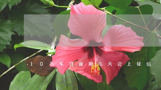 10万车贷逾期几天会上征信 10万车贷逾期几天会上征信