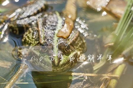 10万车贷逾期半年 10万车贷逾期半年