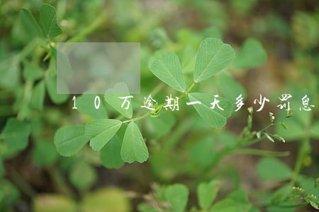 10万逾期一天多少罚息 10万逾期一天多少罚息