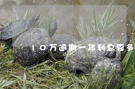 10万逾期一年利息要多少 10万逾期一年利息要多少