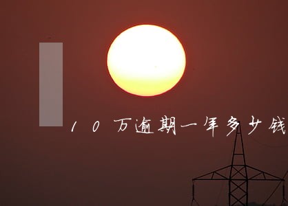 10万逾期一年多少钱 10万逾期一年多少钱