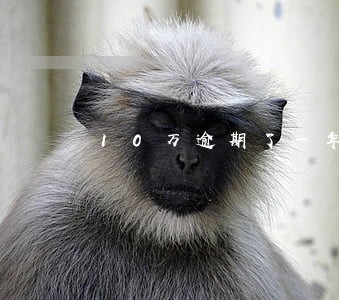 10万逾期了一年会产生多少利息 10万逾期了一年会产生多少利息