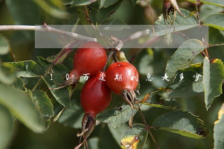 10万逾期利息是多少 10万逾期利息是多少