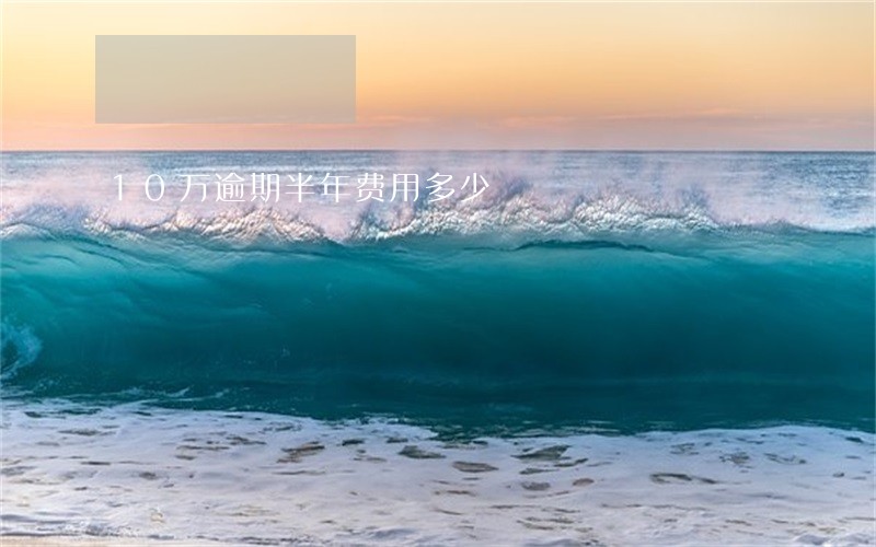 10万逾期半年费用多少 10万逾期半年费用多少