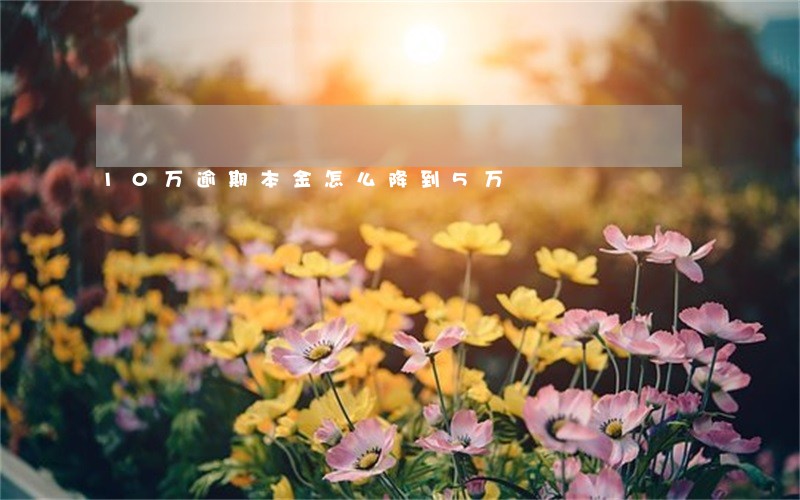 10万逾期本金怎么降到5万 10万逾期本金怎么降到5万