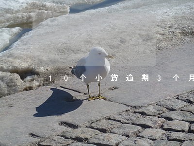 10个小贷逾期3个月了 10个小贷逾期3个月了