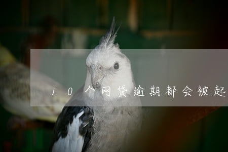 10个网贷逾期都会被起诉吗 10个网贷逾期都会被起诉吗
