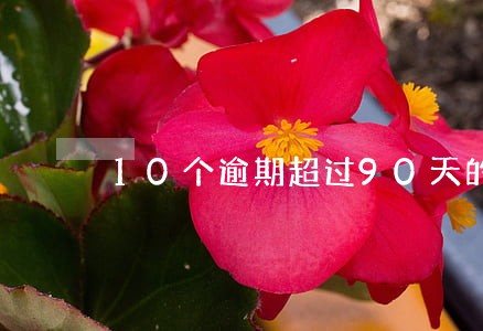 10个逾期超过90天的 10个逾期超过90天的