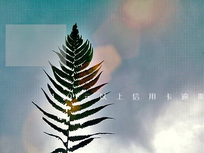 10元以上信用卡逾期 10元以上信用卡逾期
