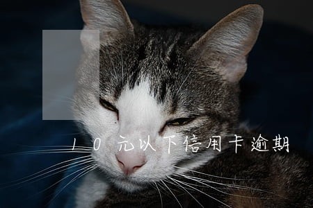 10元以下信用卡逾期 10元以下信用卡逾期