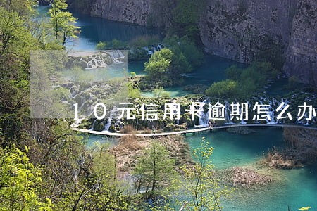 10元信用卡逾期怎么办