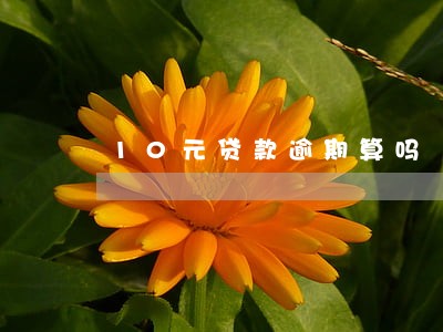 10元贷款逾期算吗