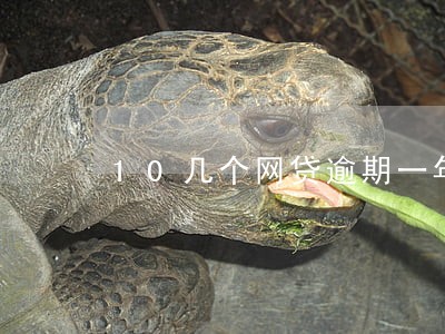 10几个网贷逾期一年了怎么办 10几个网贷逾期一年了怎么办
