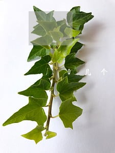 10几个网贷都已经逾期了