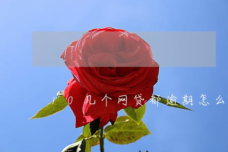 10几个网贷都逾期怎么办 10几个网贷都逾期怎么办