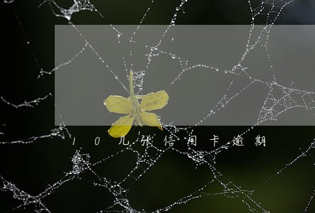 10几张信用卡逾期 10几张信用卡逾期