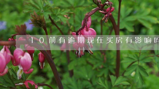 10前有逾期现在买房有影响吗 10前有逾期现在买房有影响吗