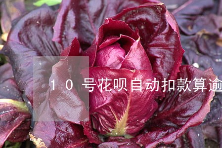 10号花呗自动扣款算逾期么 10号花呗自动扣款算逾期么
