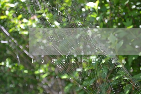 10号还花呗显示逾期 10号还花呗显示逾期