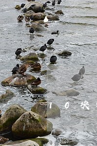 10块钱的逾期会上征信吗 10块钱的逾期会上征信吗
