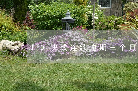 10块钱连续逾期三个月 10块钱连续逾期三个月