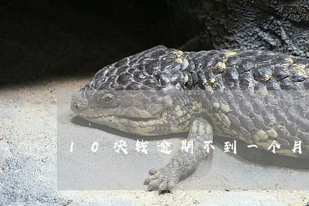 10块钱逾期不到一个月 10块钱逾期不到一个月