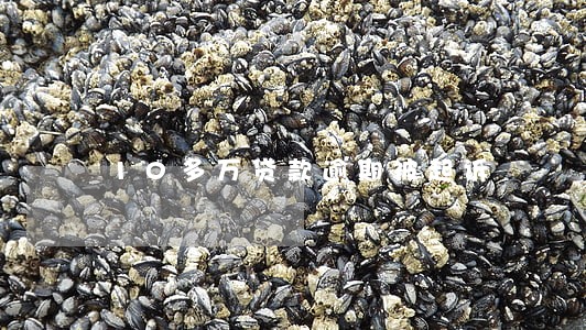 10多万贷款逾期被起诉 10多万贷款逾期被起诉