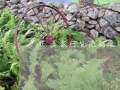 10多家网贷逾期没钱还怎么办 10多家网贷逾期没钱还怎么办