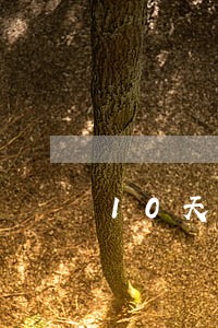 10天网贷逾期一天92元 10天网贷逾期一天92元