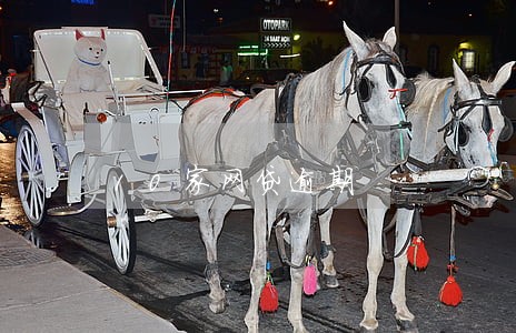 10家网贷逾期 10家网贷逾期
